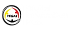TDIH logo white